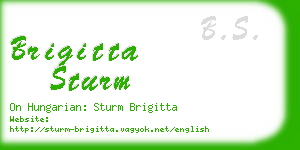 brigitta sturm business card